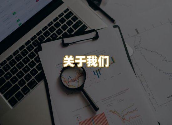 关于我们