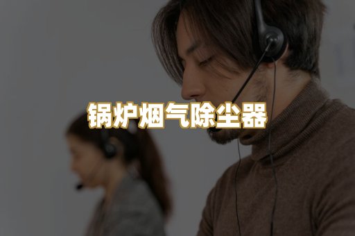 锅炉烟气除尘器